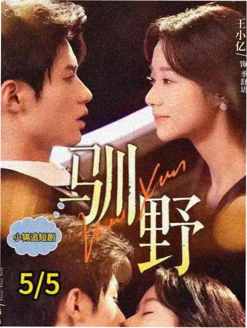 长夜将明电视剧海报